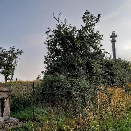 Bed & Breakfast Le Petit *