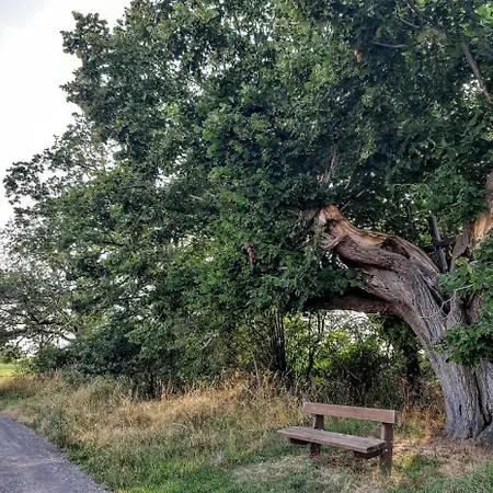 Le Petit Отель типа 