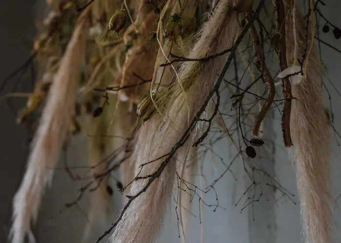 Bed & Breakfast Le Petit