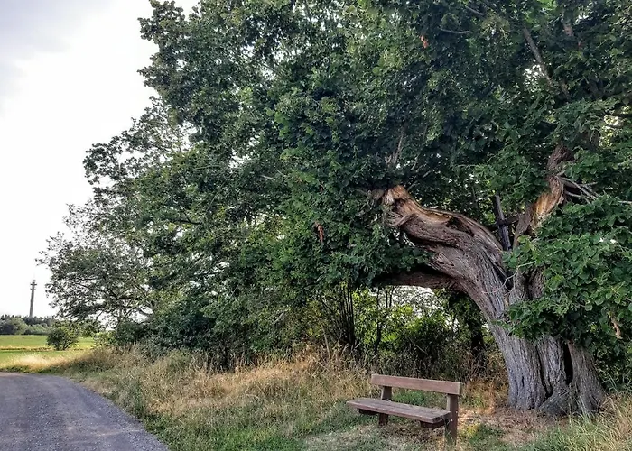 Le Petit Bed & Breakfast Durbuy